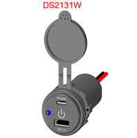 Dual Port USB Socket - 12-24V - DS2131W - ASM